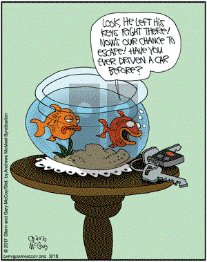 The Flying McCoys on Thursday March 16, 2017 Comic Strip