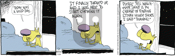 The Duplex on Tuesday January 24, 2017 Comic Strip