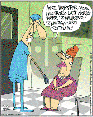 The Flying McCoys on Tuesday January 21, 2020 Comic Strip