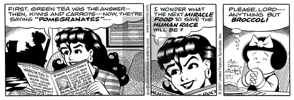 Nancy - Monday February 19, 2007 Comic Strip
