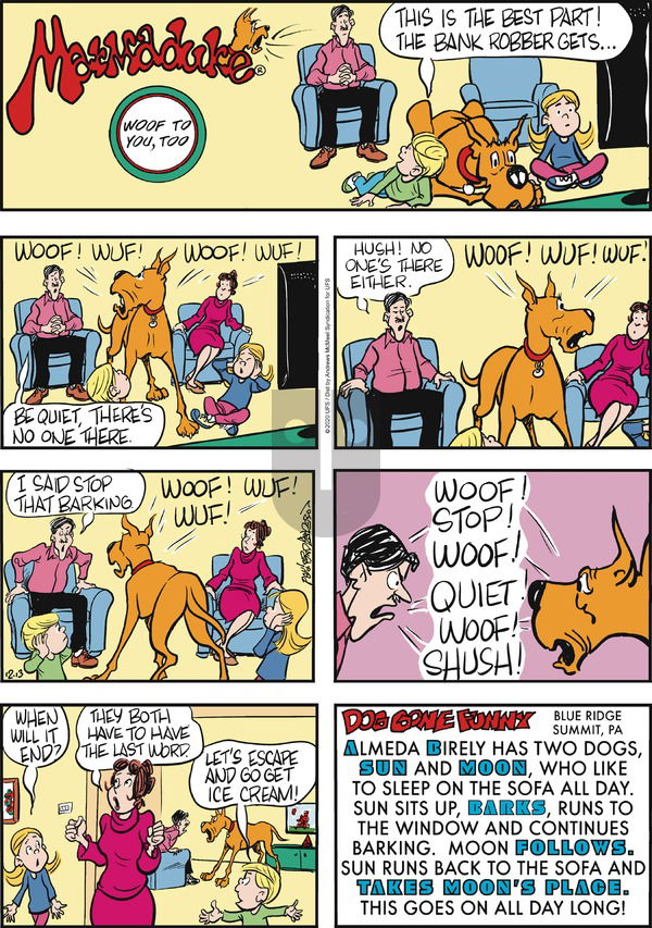 Marmaduke on Sunday December 13, 2020 Comic Strip
