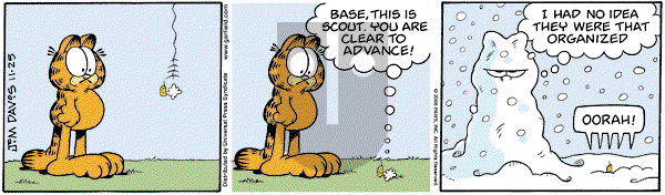 Garfield on Tuesday November 25, 2008 Comic Strip
