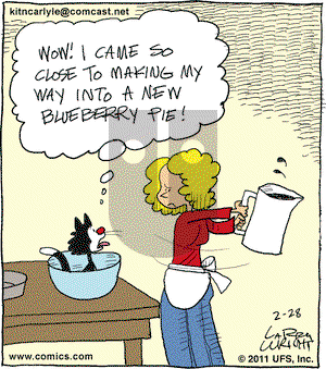 Kit 'N' Carlyle on Monday February 28, 2011 Comic Strip