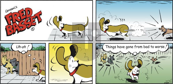 Fred Basset - Sunday December 8, 2019 Comic Strip