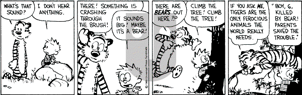 Calvin and Hobbes - Wednesday June 7, 1989 Comic Strip