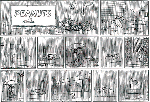 Peanuts - Sunday November 26, 1961 Comic Strip