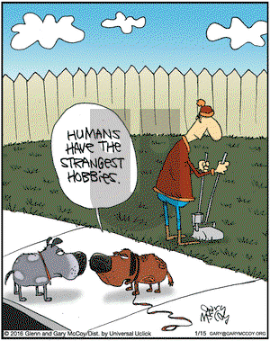 The Flying McCoys on Friday January 15, 2016 Comic Strip