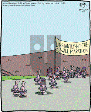 In the Bleachers on Friday December 23, 2016 Comic Strip