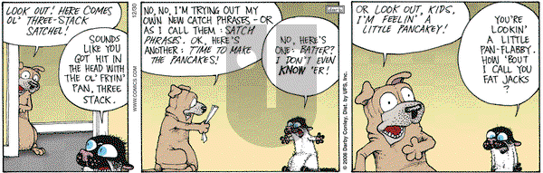 Get Fuzzy on Saturday December 30, 2006 Comic Strip