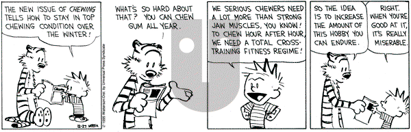 Calvin and Hobbes on Wednesday December 27, 1995 Comic Strip
