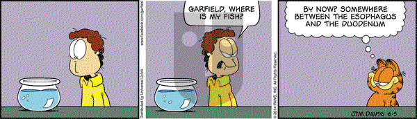 Garfield - Thursday June 5, 2014 Comic Strip