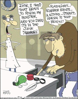 The Flying McCoys on Tuesday May 6, 2025 Comic Strip