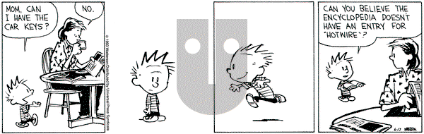Calvin and Hobbes on Thursday June 17, 1993 Comic Strip