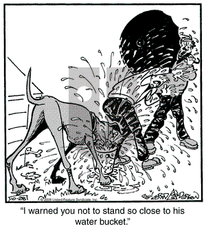 Marmaduke on Saturday October 28, 2006 Comic Strip