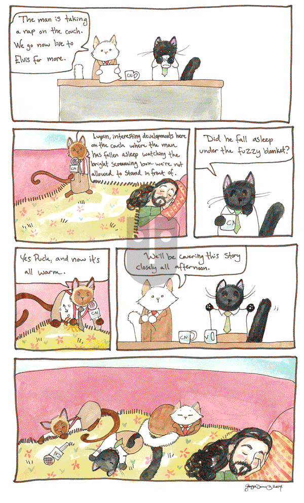 Breaking Cat News on Saturday September 3, 2016 Comic Strip