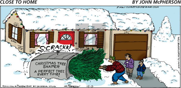 Close to Home on Sunday December 5, 2010 Comic Strip