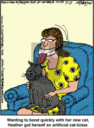 Close to Home on Saturday July 17, 2010 Comic Strip