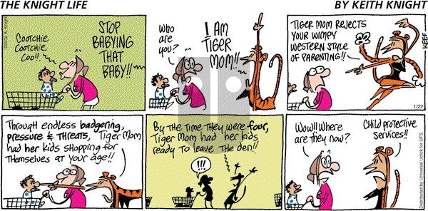 The Knight Life - Sunday January 22, 2012 Comic Strip