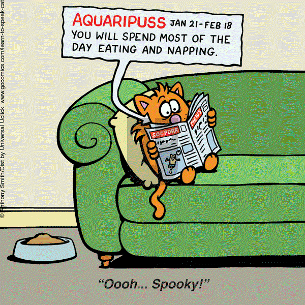 Learn to Speak Cat on Friday March 21, 2025 Comic Strip
