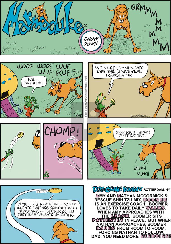 Marmaduke on Sunday May 18, 2025 Comic Strip