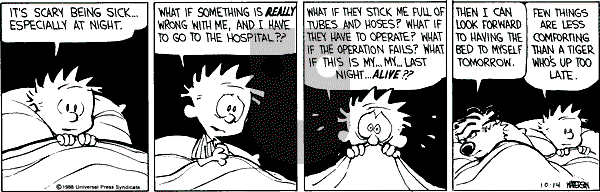 Calvin and Hobbes - Friday October 14, 1988 Comic Strip
