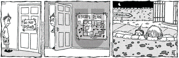 Lio on Tuesday May 27, 2008 Comic Strip