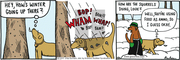 Overboard on Tuesday February 21, 2017 Comic Strip