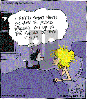 Kit 'N' Carlyle on Monday May 18, 2009 Comic Strip