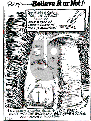 Ripley's Believe It or Not on Friday November 14, 2003 Comic Strip