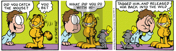 Garfield - Friday October 18, 1996 Comic Strip