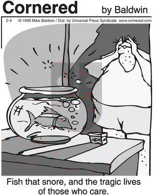 Cornered on Monday February 8, 1999 Comic Strip