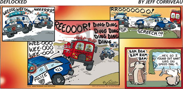 DeFlocked on Sunday July 21, 2013 Comic Strip
