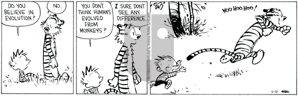Calvin and Hobbes - Friday May 12, 2023 Comic Strip