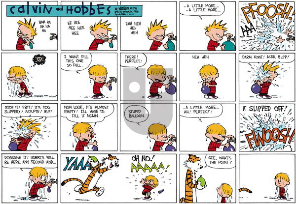 Calvin and Hobbes on Sunday June 14, 2015 Comic Strip