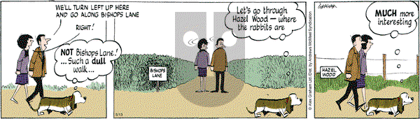 Fred Basset on Tuesday May 13, 2025 Comic Strip