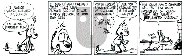 Buckles on Saturday July 19, 2025 Comic Strip