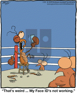In the Bleachers on 2025-07-19 Comic Strip