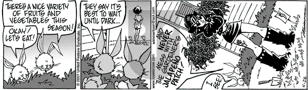 Rose is Rose on Thursday April 26, 2007 Comic Strip