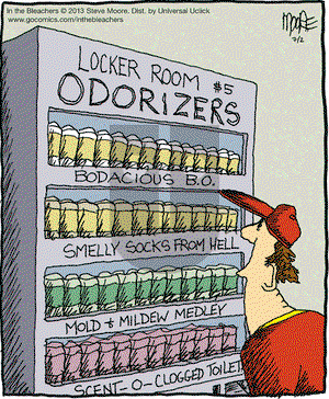 In the Bleachers on Tuesday July 2, 2013 Comic Strip