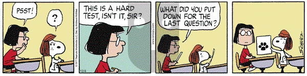 Peanuts - Wednesday December 4, 2024 Comic Strip