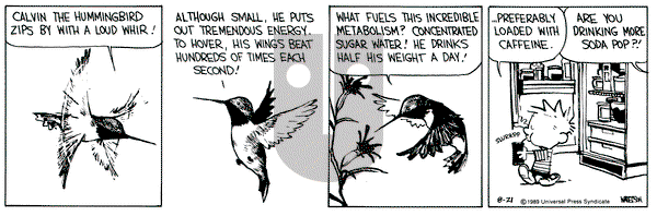 Calvin and Hobbes on Monday August 21, 1989 Comic Strip