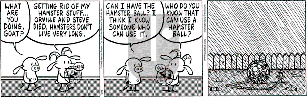 Pearls Before Swine on Wednesday September 24, 2008 Comic Strip