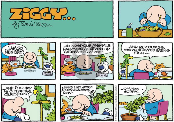 Ziggy on Sunday December 31, 2017 Comic Strip