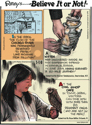 Ripley's Believe It or Not on Friday January 16, 2015 Comic Strip