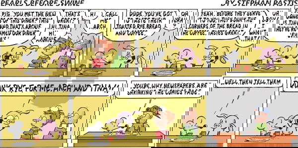 Pearls Before Swine on Sunday December 6, 2009 Comic Strip