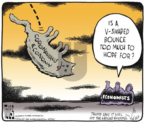 Tom Toles on Sunday May 10, 2020 Comic Strip