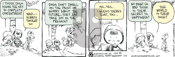 Non Sequitur - Saturday July 5, 2008 Comic Strip
