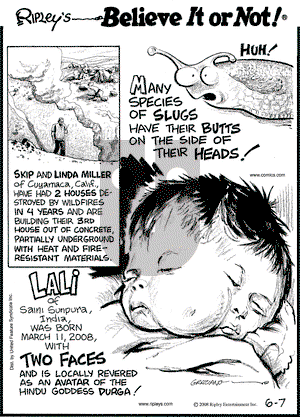 Ripley's Believe It or Not on Saturday June 7, 2008 Comic Strip