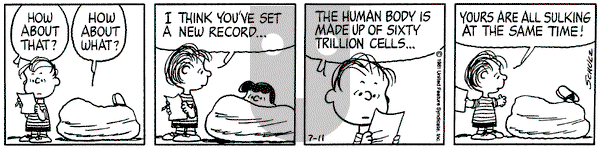 Peanuts on Saturday July 11, 1981 Comic Strip