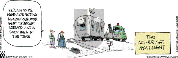 Non Sequitur on Monday July 10, 2017 Comic Strip